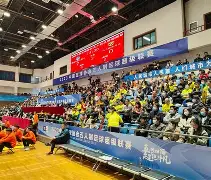 西班牙网球队血洗意大利网球队，费德勒制霸全场的简单介绍