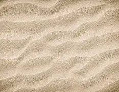 沙尔盖奥尔主场大胜,充满信心迎接新挑战 沙尔盖奥尔主场大胜,充满信心迎接新挑战