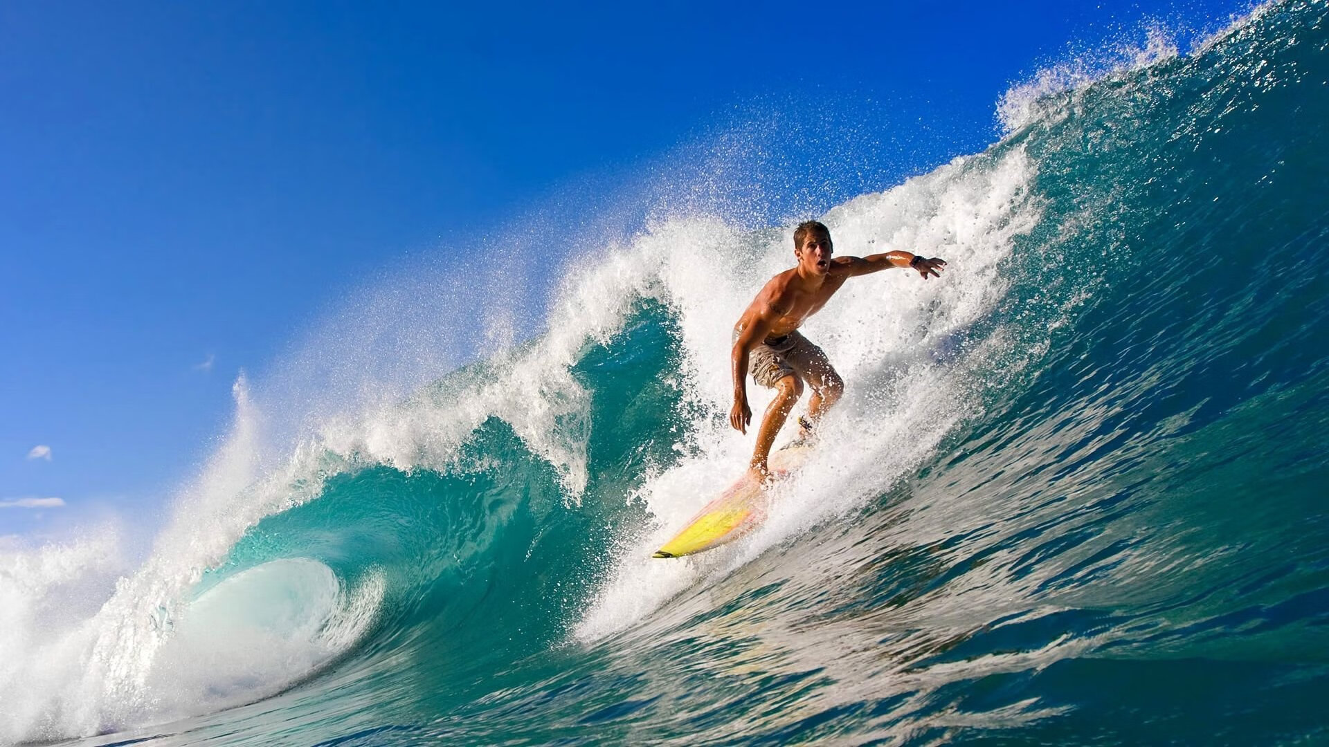 开云体育中国-双城记，上海滩的逆袭与奥兰多的新王—当团队意志遇见巨星时刻